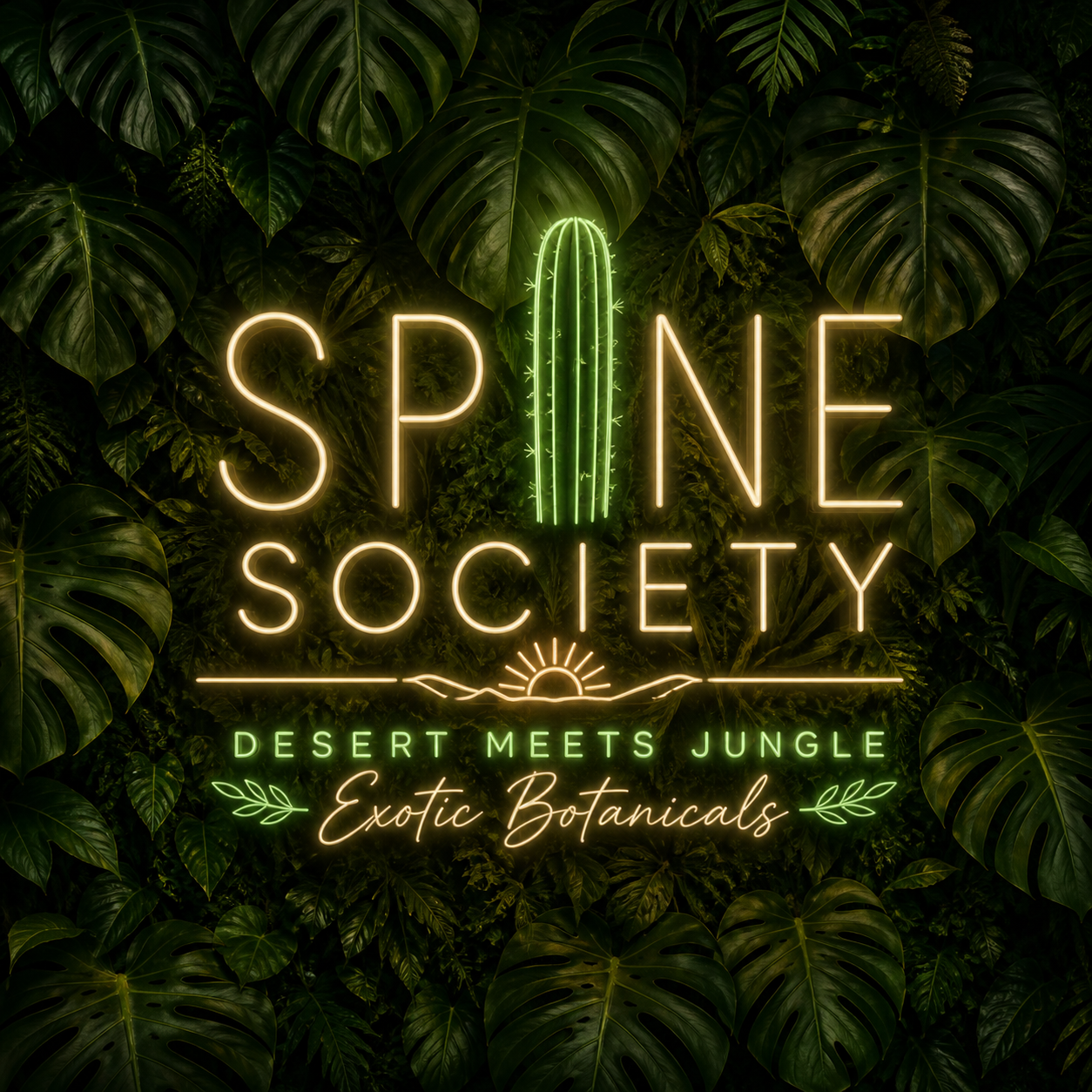 Spine Society